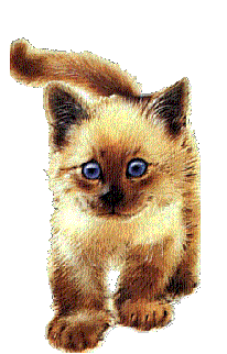 Image Name